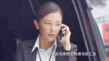 辣警霸王花演员表_辣警霸王花演员表全部